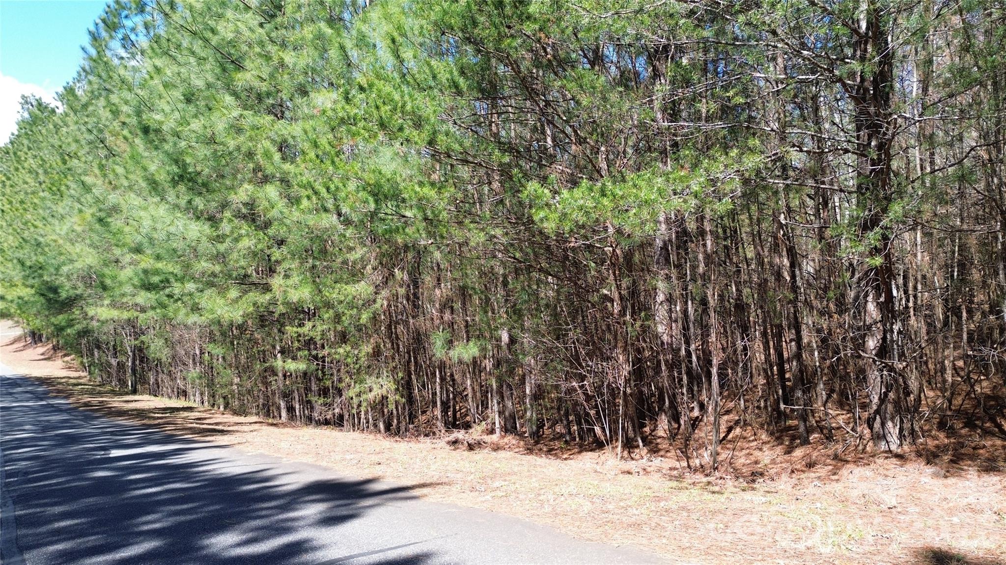 0 Chocolate Drop Circle 154