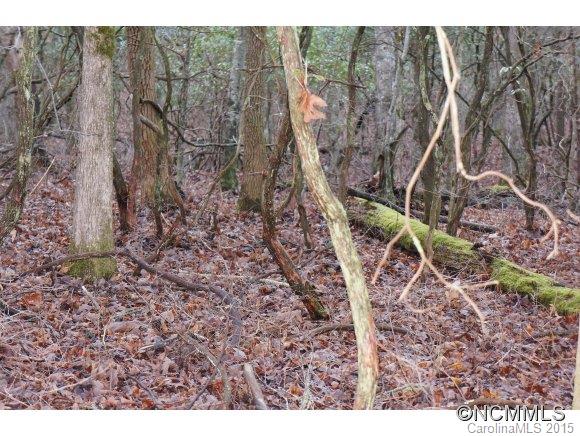 Connestee Falls - Land