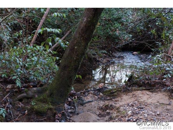 Connestee Falls - Land