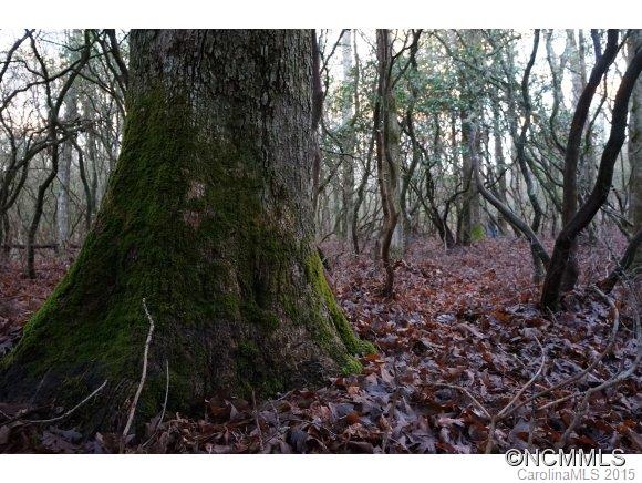Connestee Falls - Land