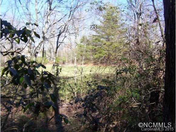 Connestee Falls - Land