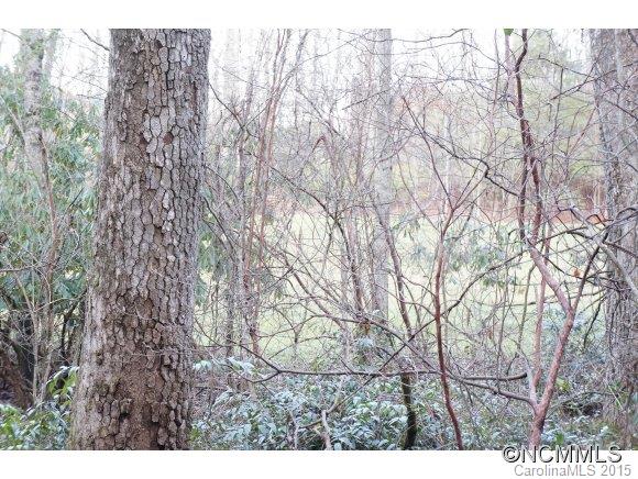 Connestee Falls - Land