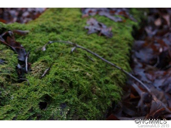 Connestee Falls - Land