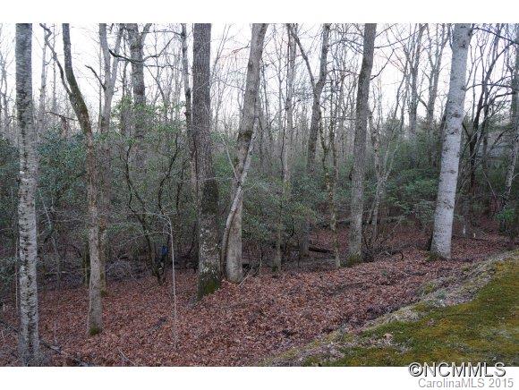 Connestee Falls - Land