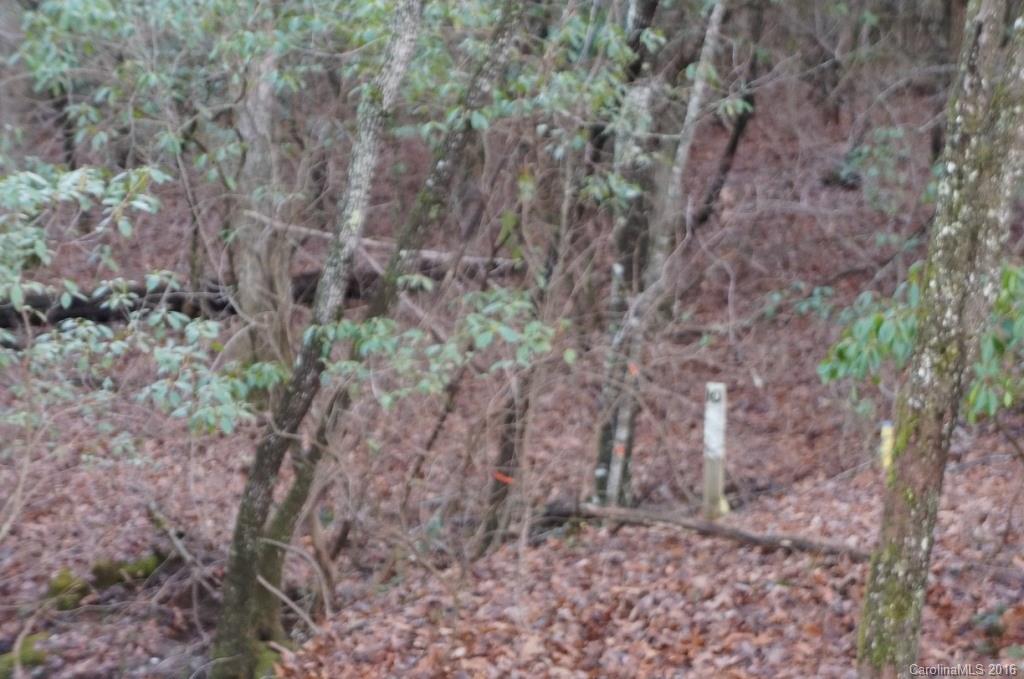 Connestee Falls - Land