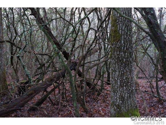 Connestee Falls - Land