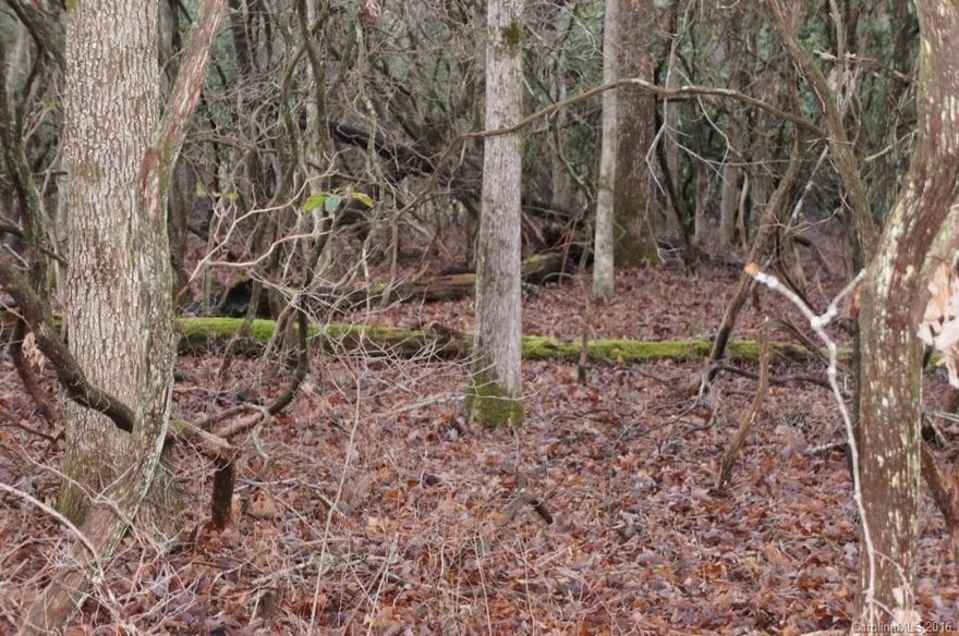 Outstanding building lot that fronts the 18th Fairway and a robust year round creek. You can literally walk to the club house for dinner! House plans available or build to suit. Connestee Falls is a Gated Golfing Community with 4 lakes, club hosue with two resaurants, tennis, 17 miles of trails, heated pool, parks, bocce, and PICKLE BALL!!! Owner/Broker