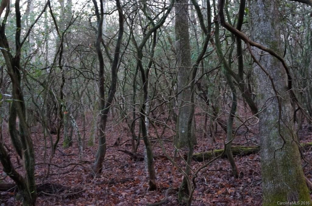 Connestee Falls - Land