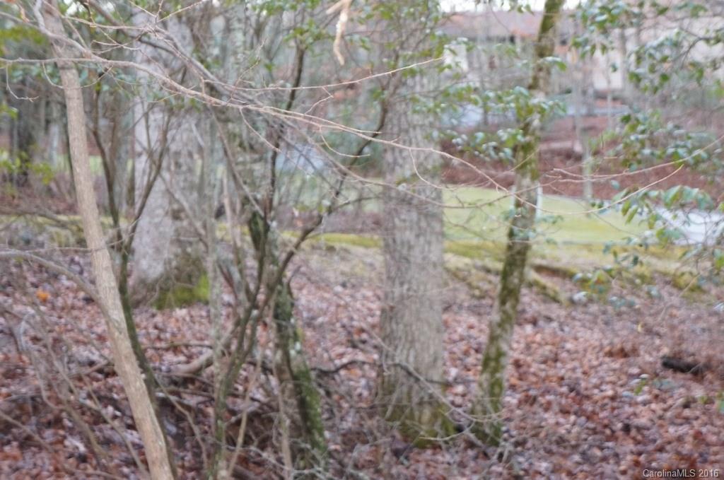 Connestee Falls - Land