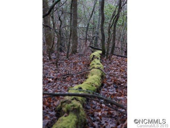 Connestee Falls - Land