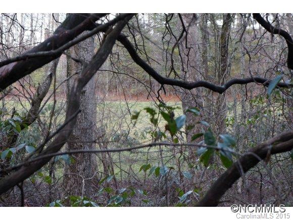 Connestee Falls - Land