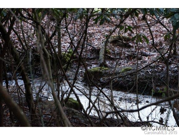 Connestee Falls - Land