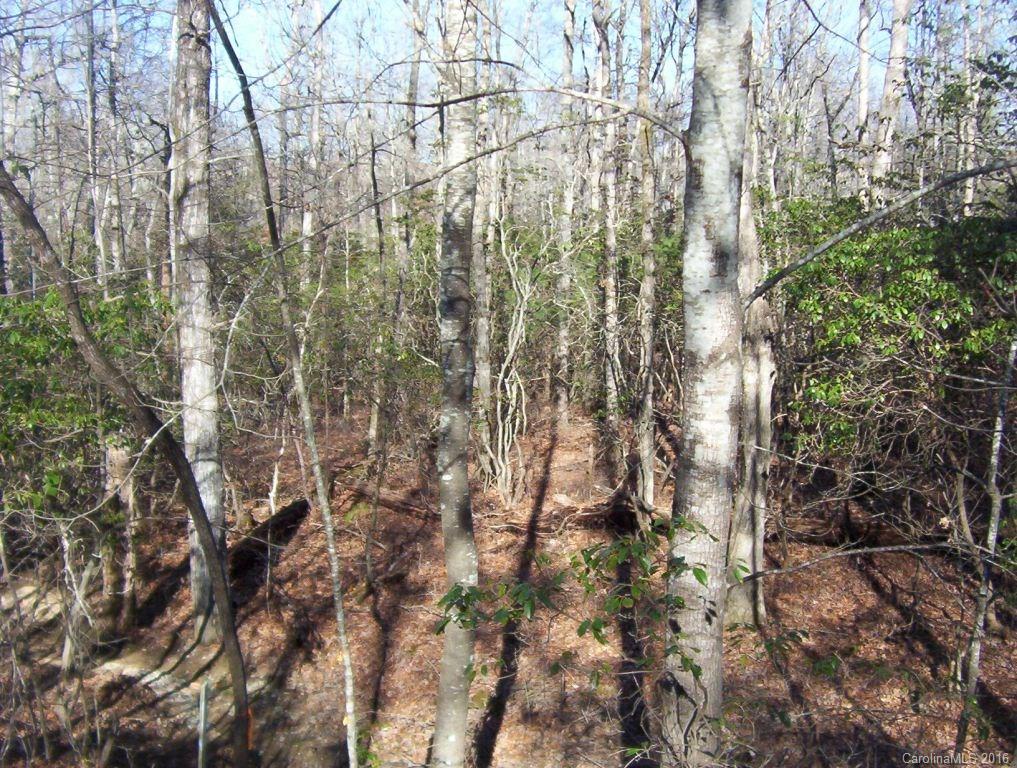 Connestee Falls - Land