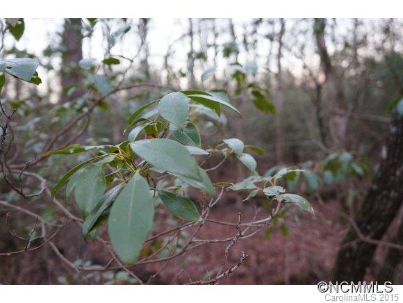Connestee Falls - Land