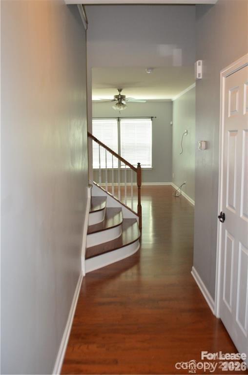 11907 Elizabeth Madison Court