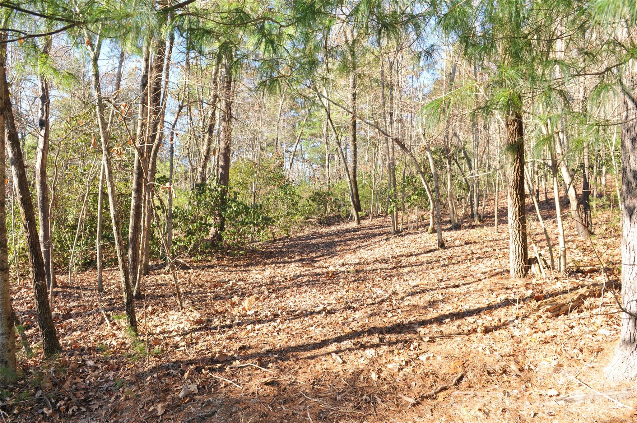 000 Didrikson Way 244