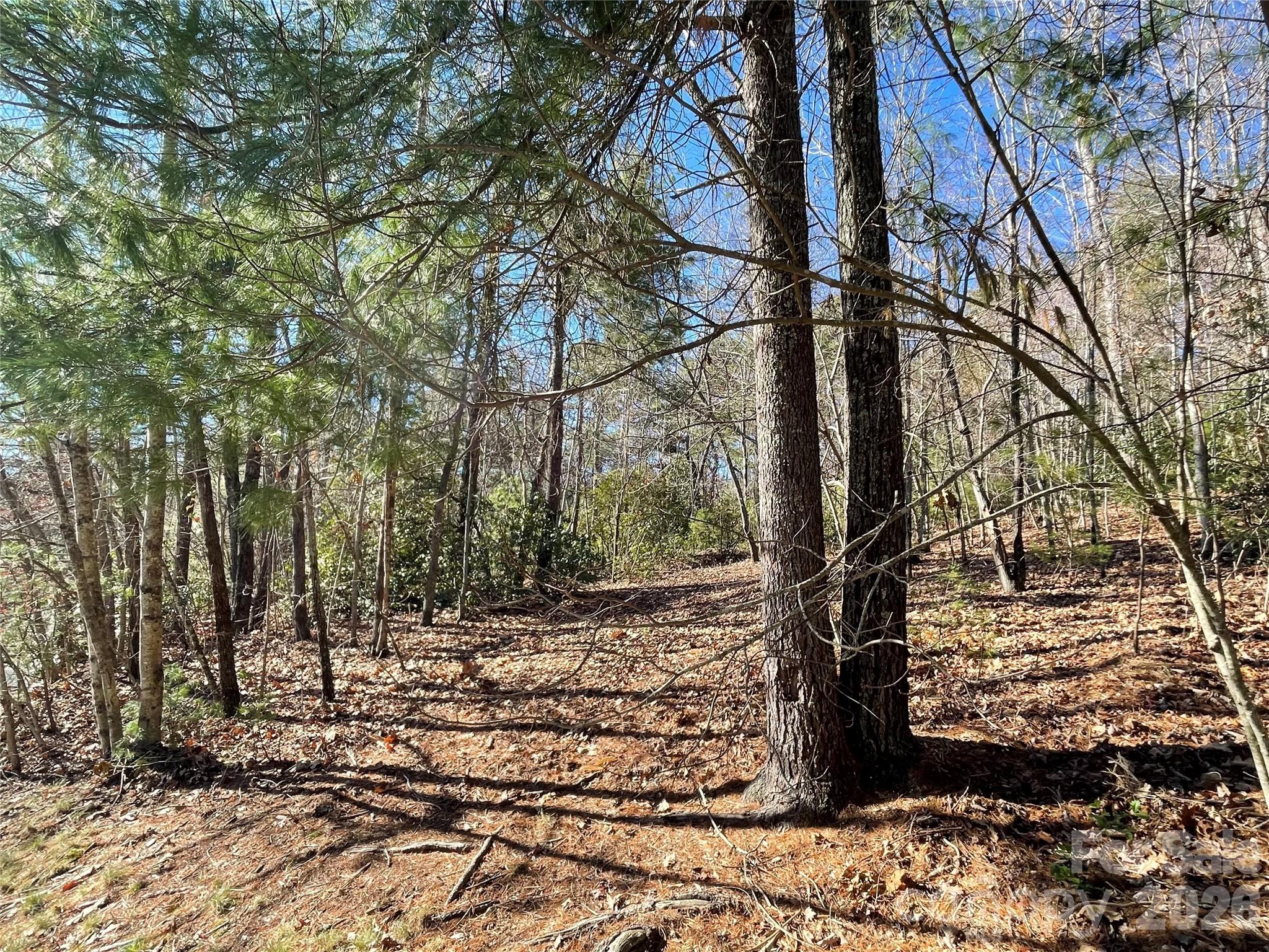 000 Didrikson Way 244