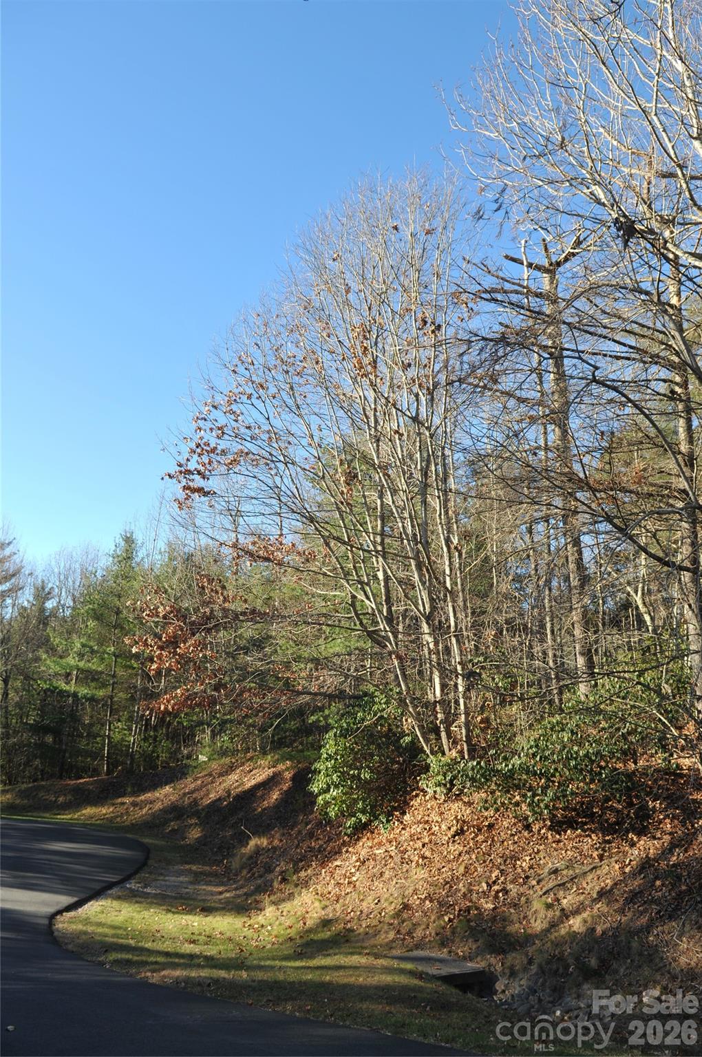 Champion Hills - Land