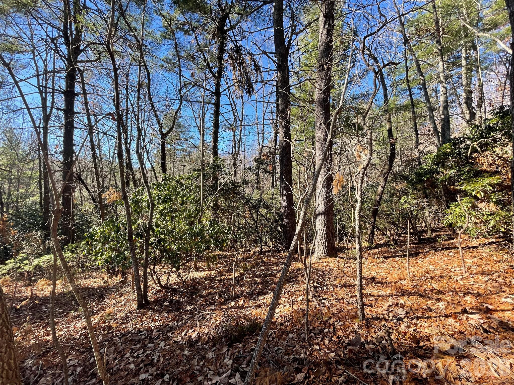 Champion Hills - Land