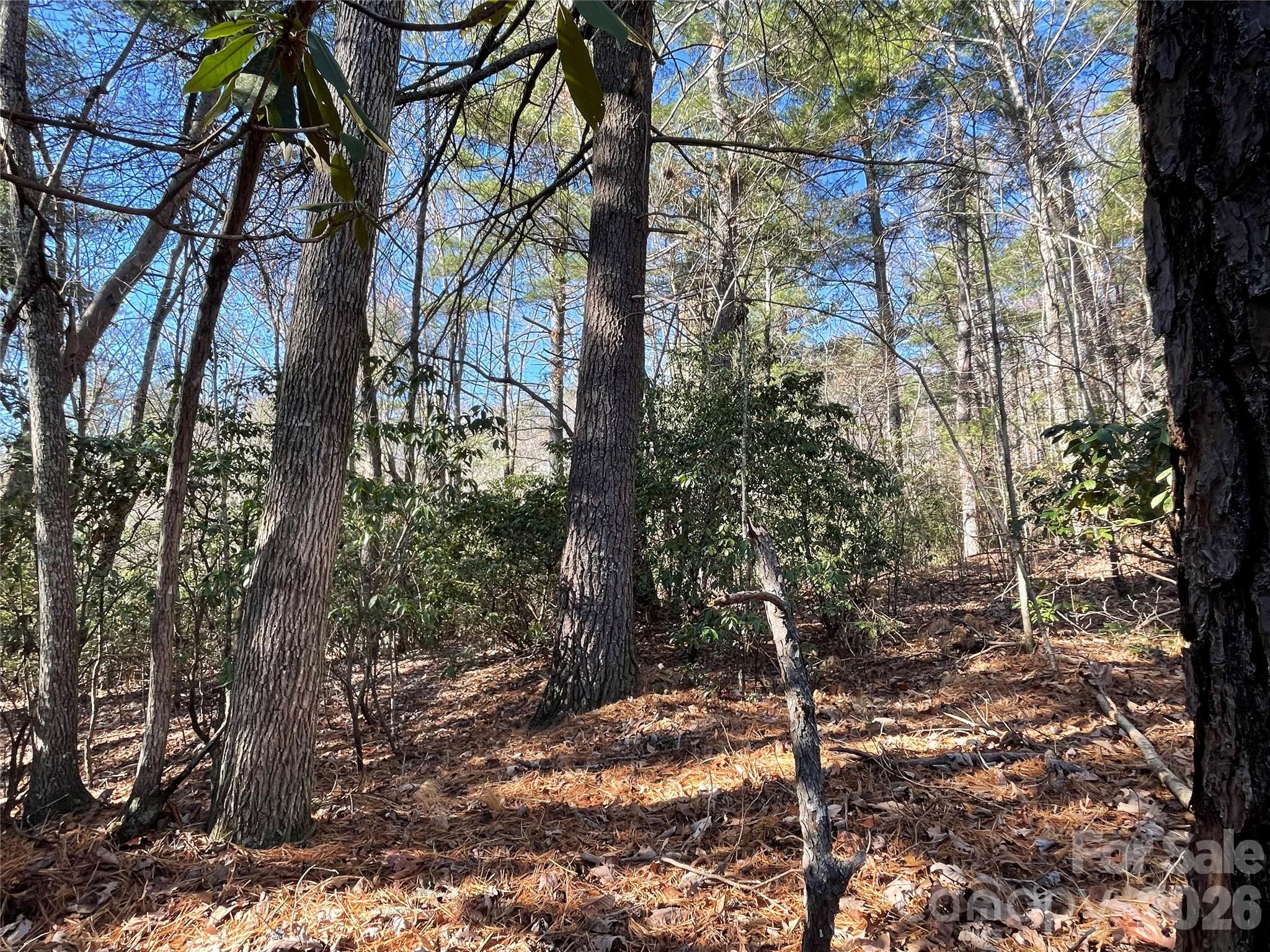 Champion Hills - Land