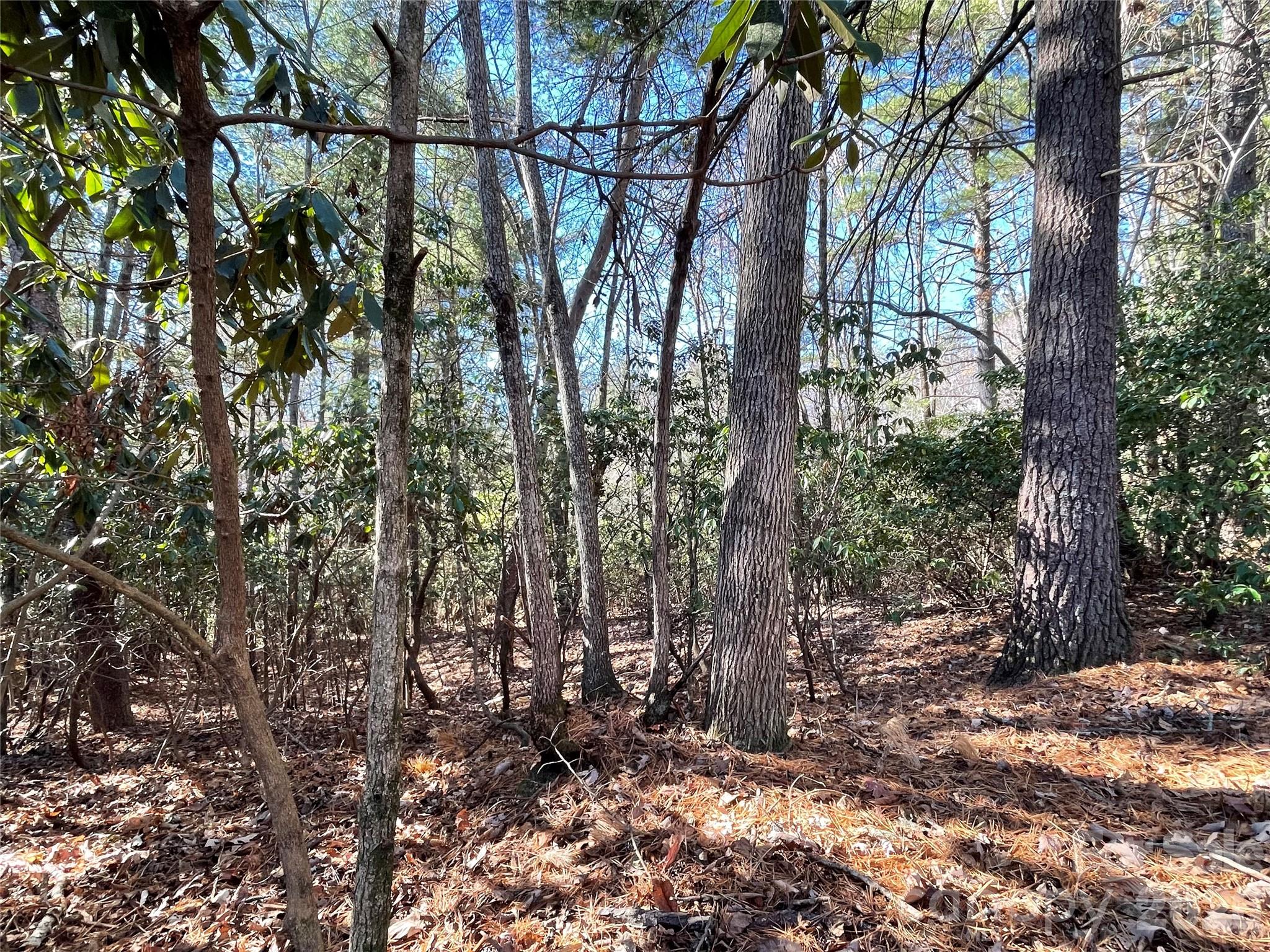 Champion Hills - Land