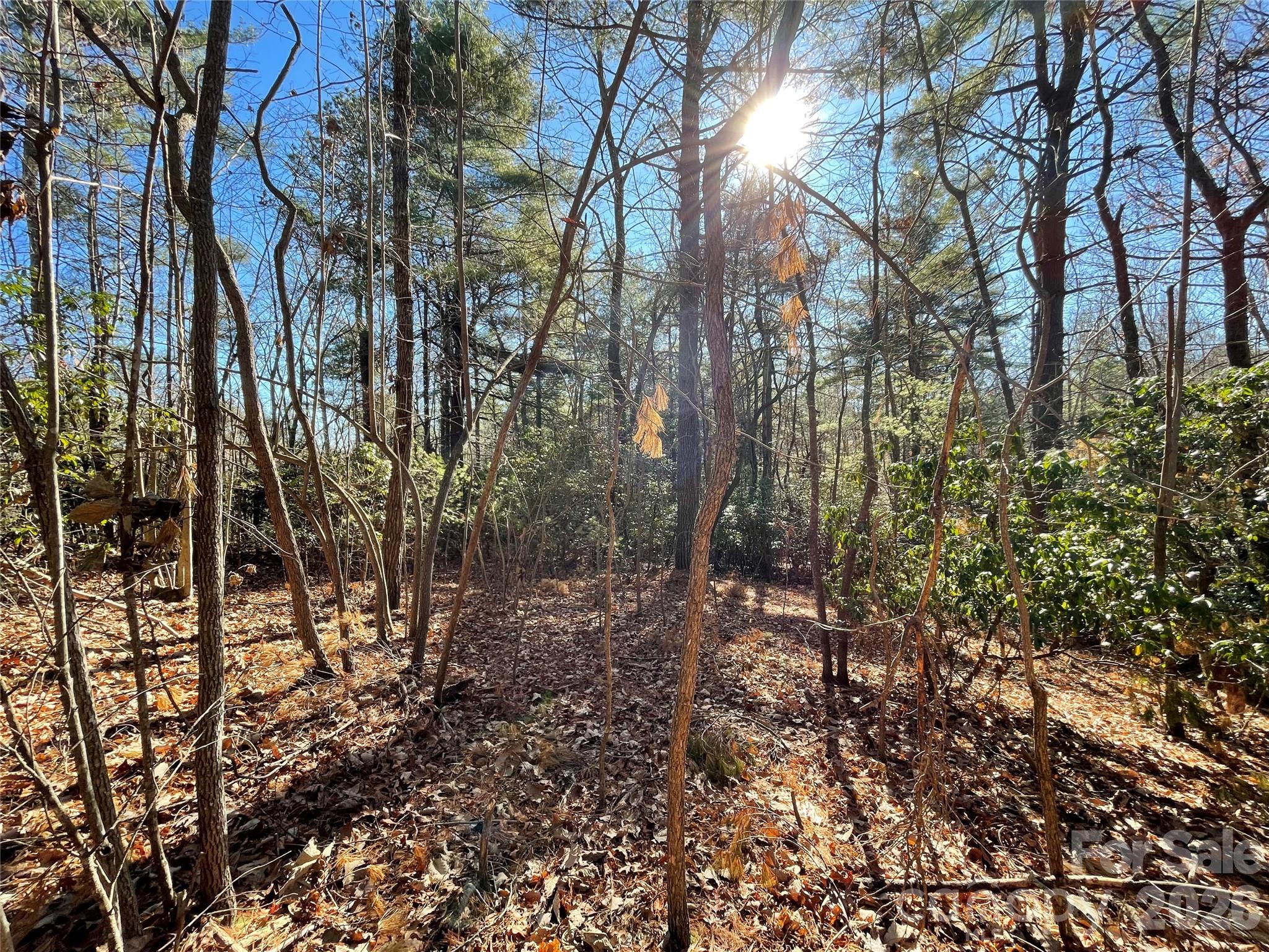 Champion Hills - Land