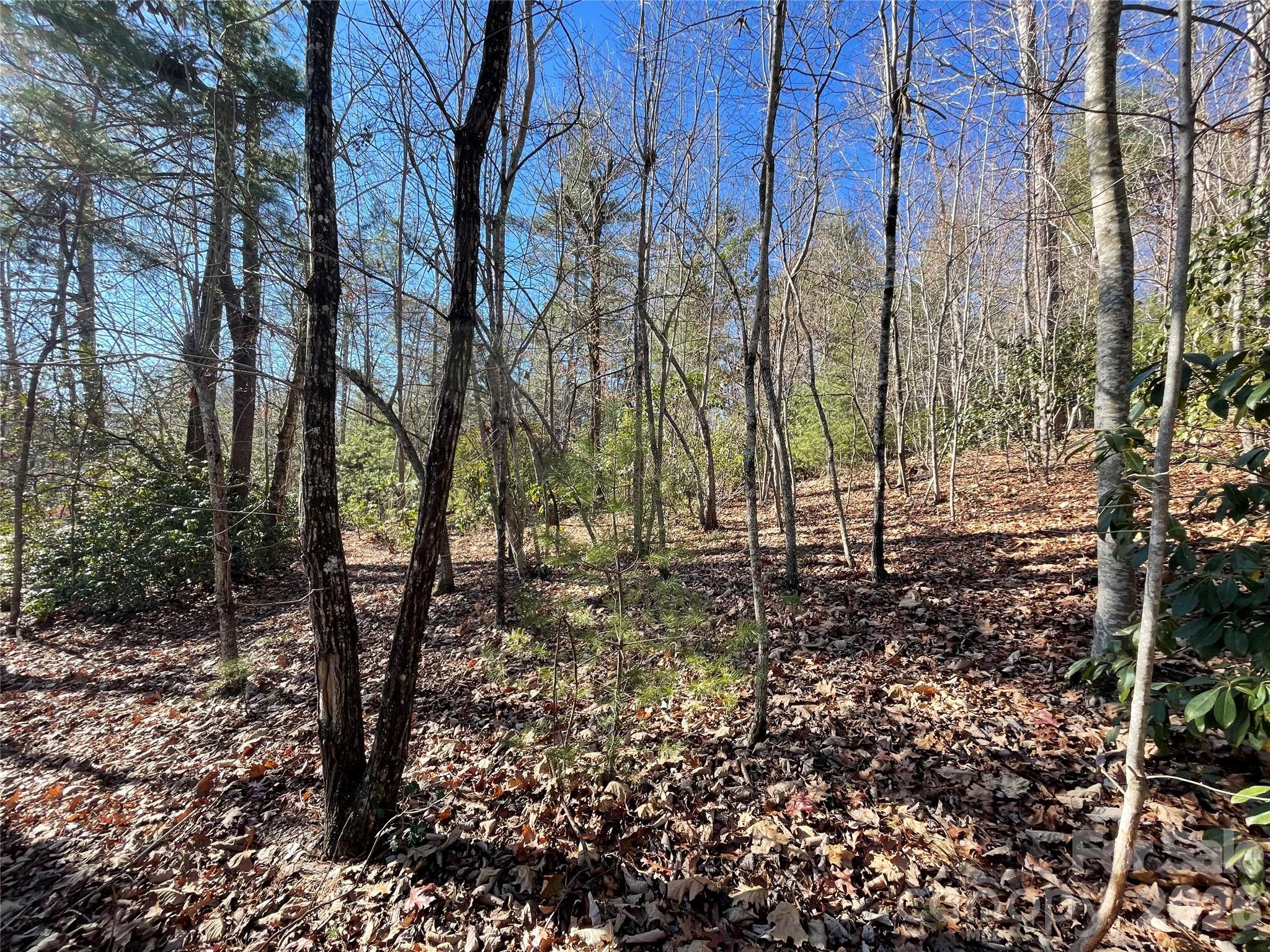 Champion Hills - Land