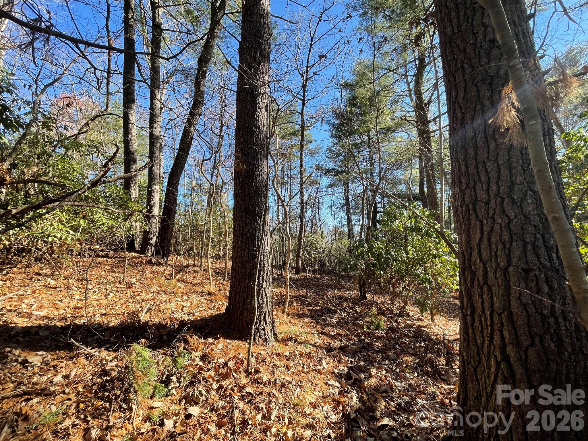 Champion Hills - Land