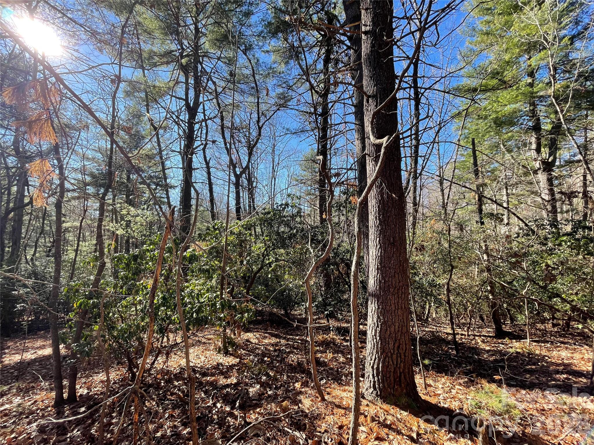 Champion Hills - Land