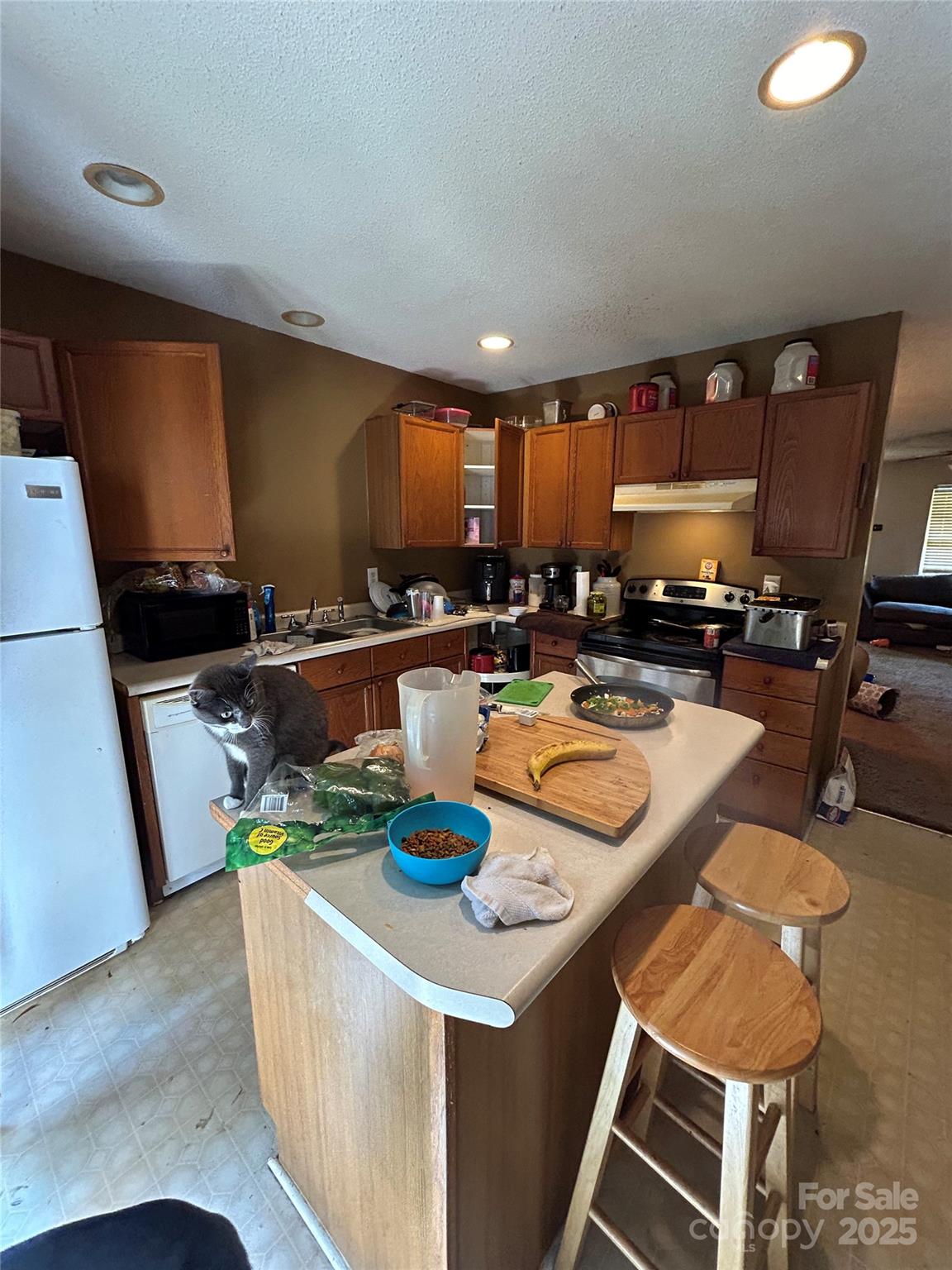 7857 Petrea Lane