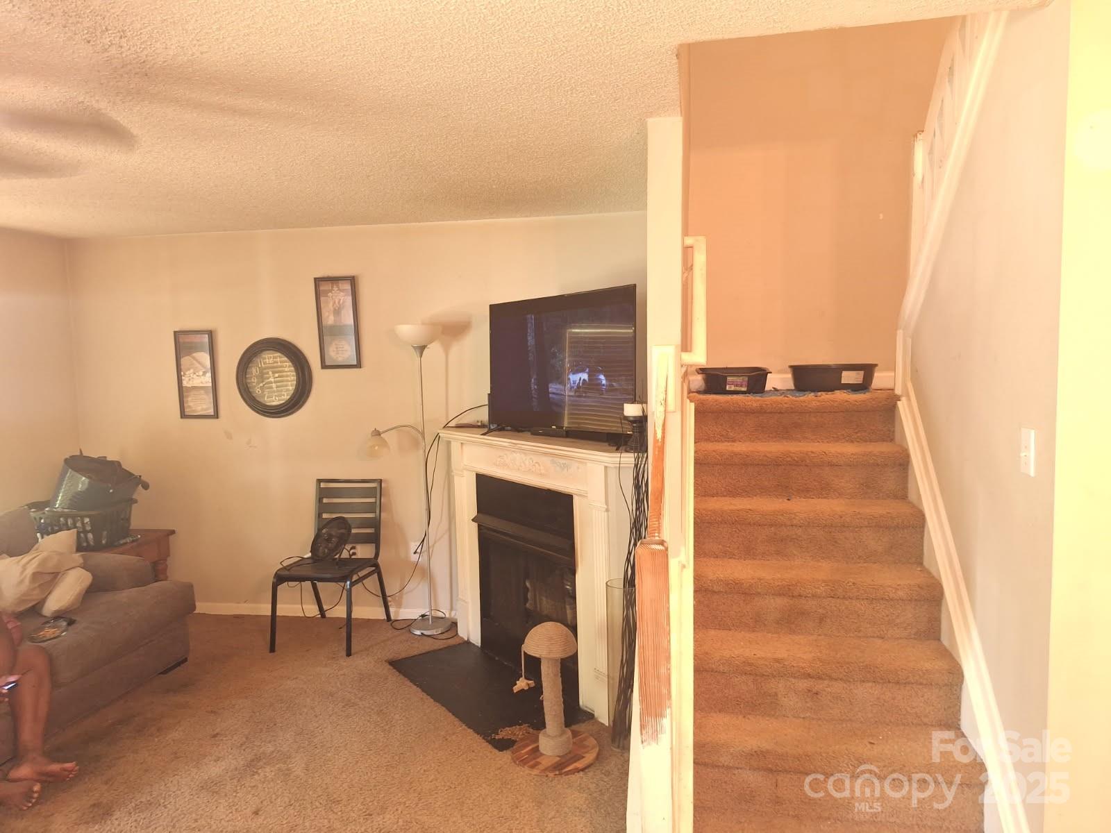 7857 Petrea Lane