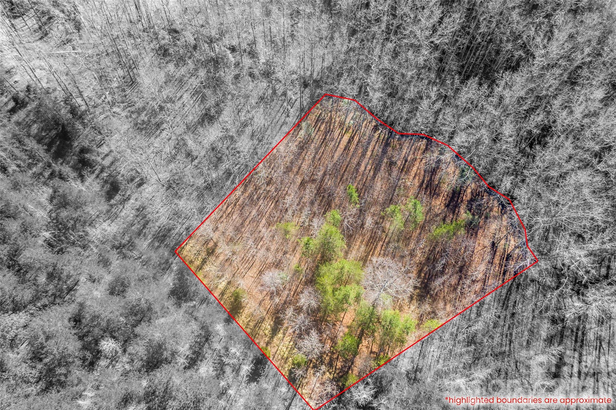 0 Riding Ring Drive 12