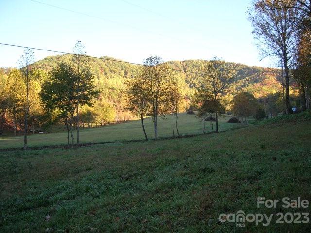 Lot 4 Chimney Top Heights