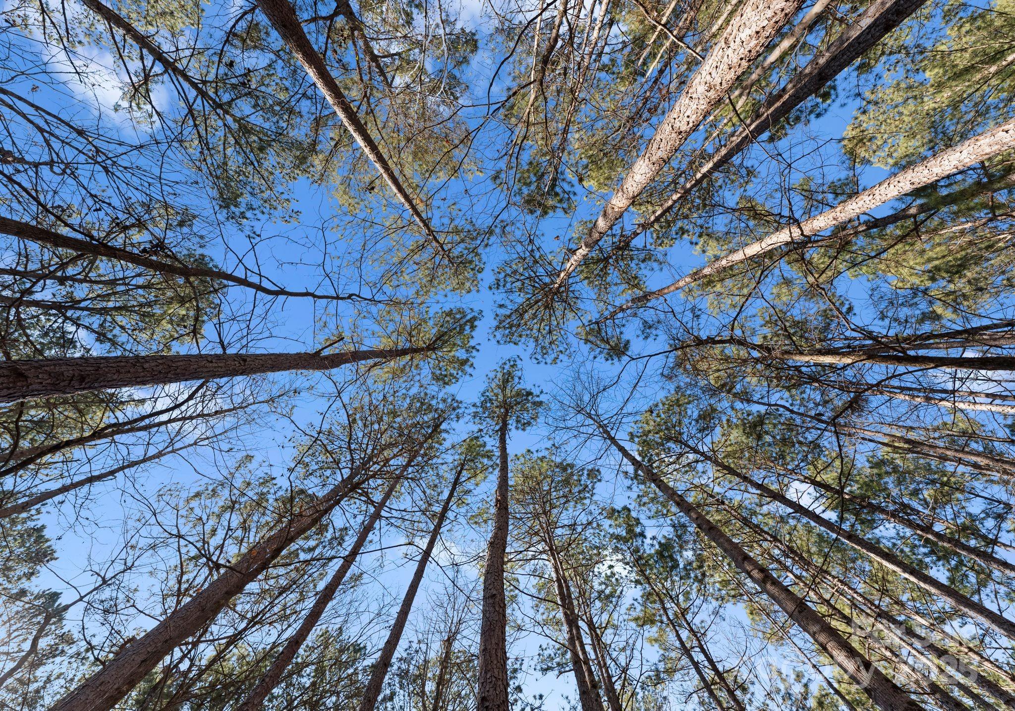 Catawba Cove - Residential