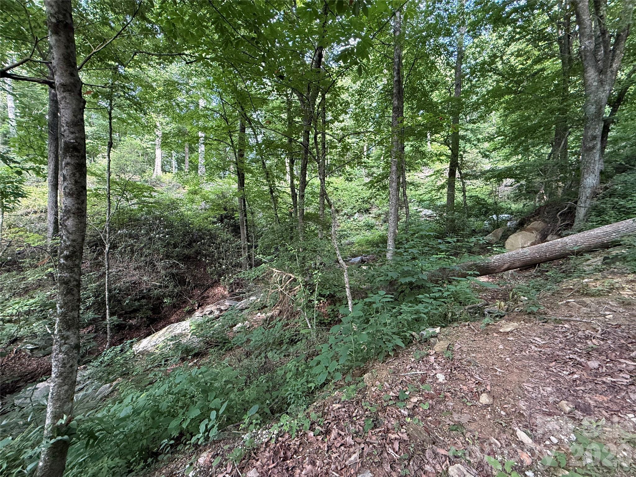 64 Clay View Drive