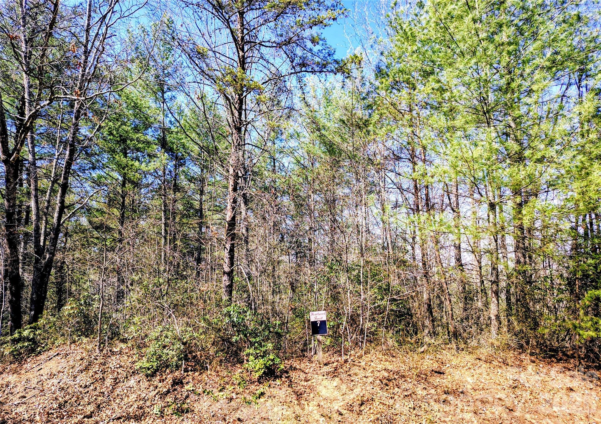 Heartwood Forest - Land