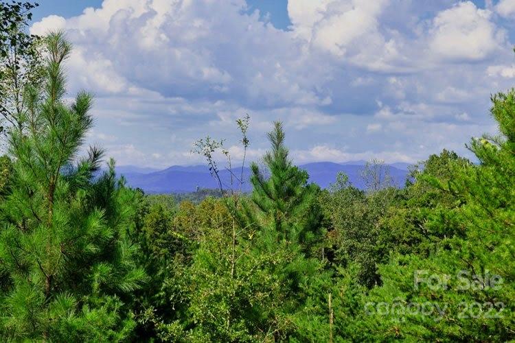 Clearwater Creek - Land