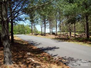 1552 Bear Cliff Drive 31