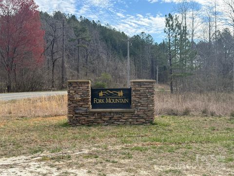 146 S Branch Drive Bostic NC 28018