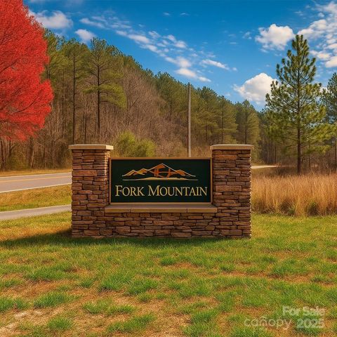 146 S Branch Drive Bostic NC 28018