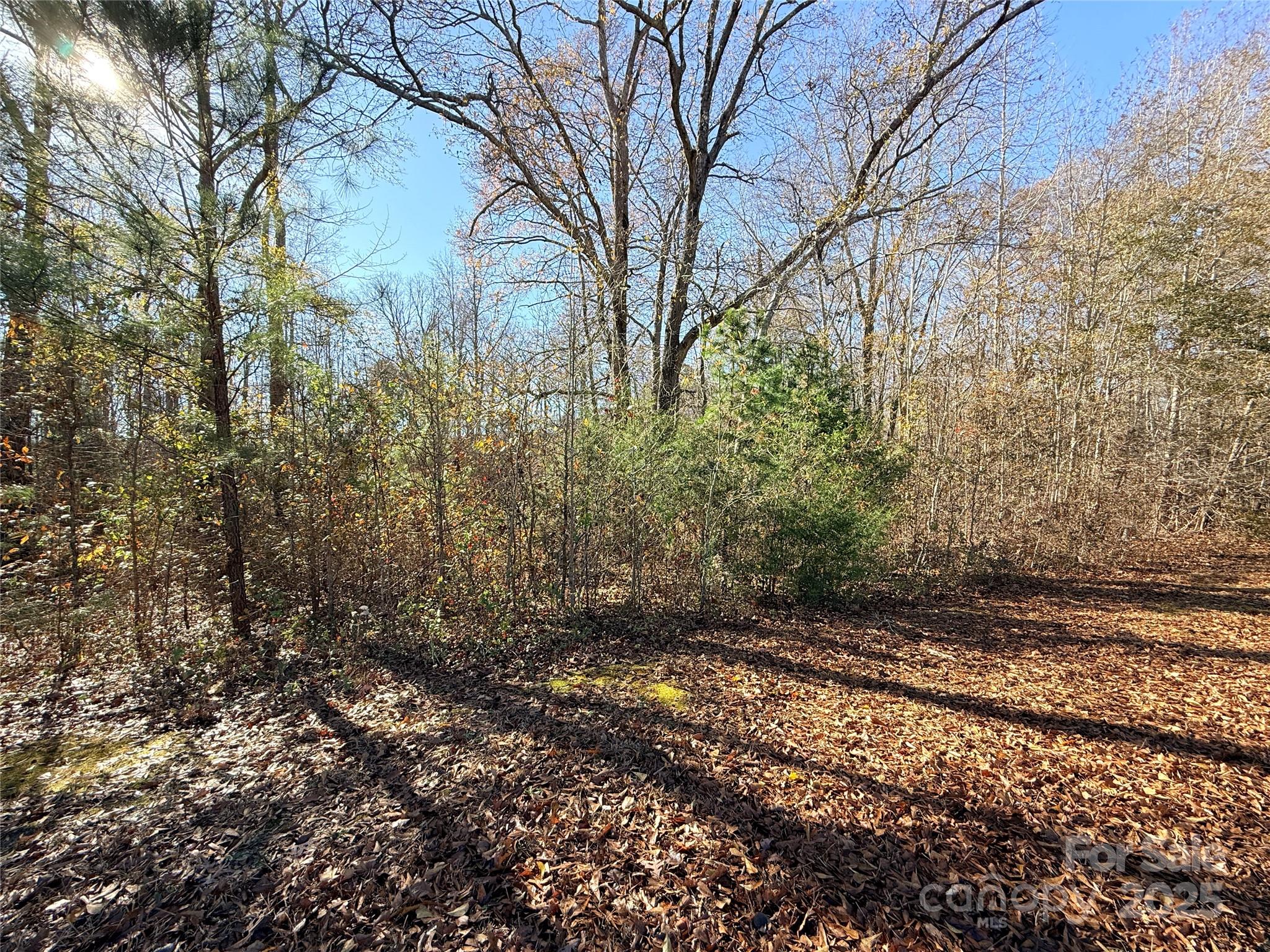 Lot 24 Avalon Lane 24