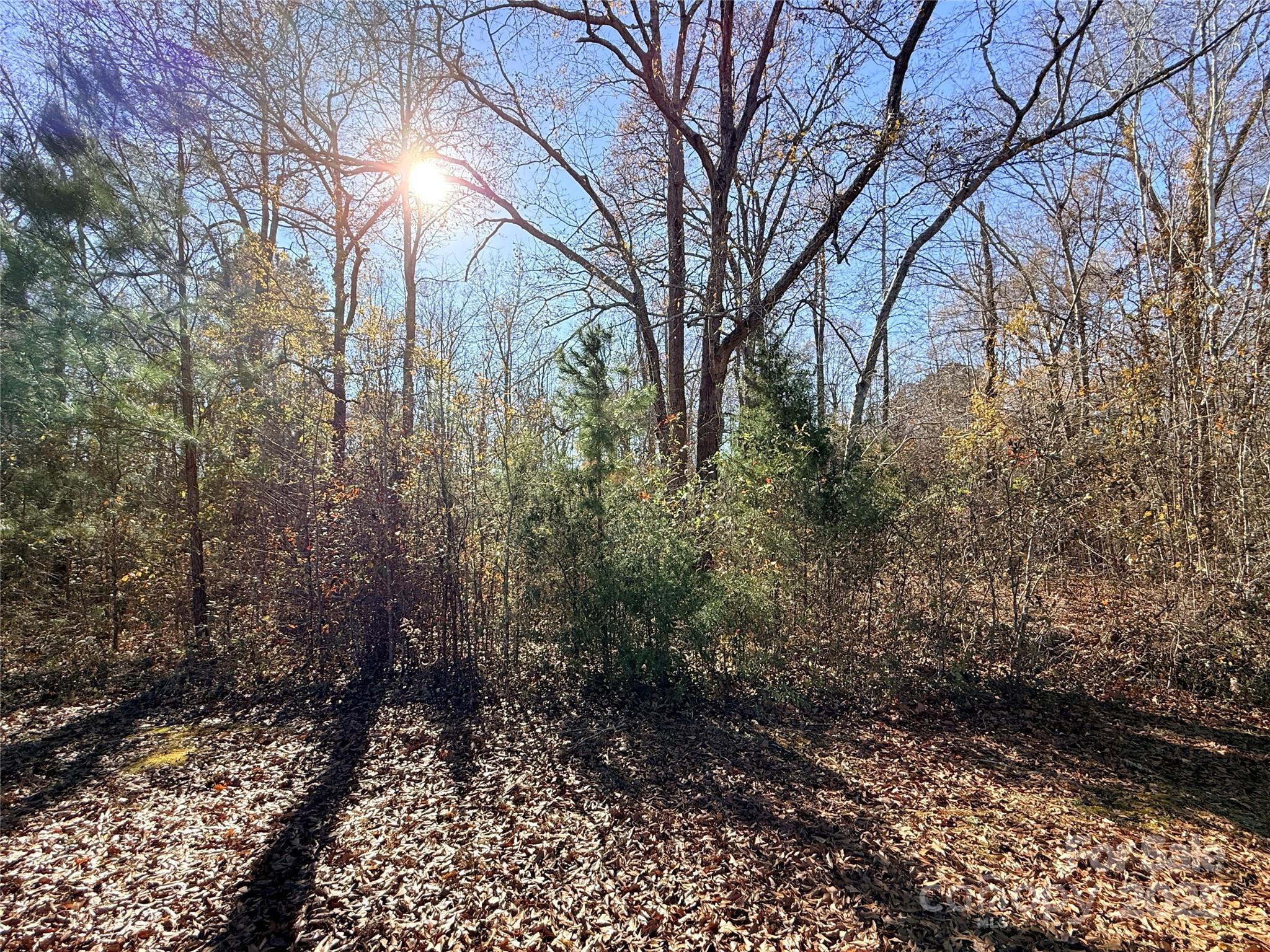 Lot 24 Avalon Lane 24