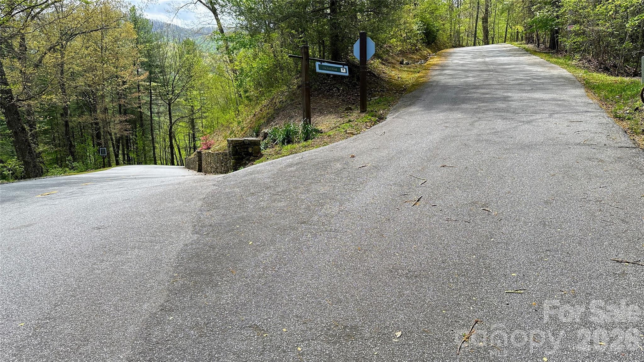 Shook Cove Overlook - Land