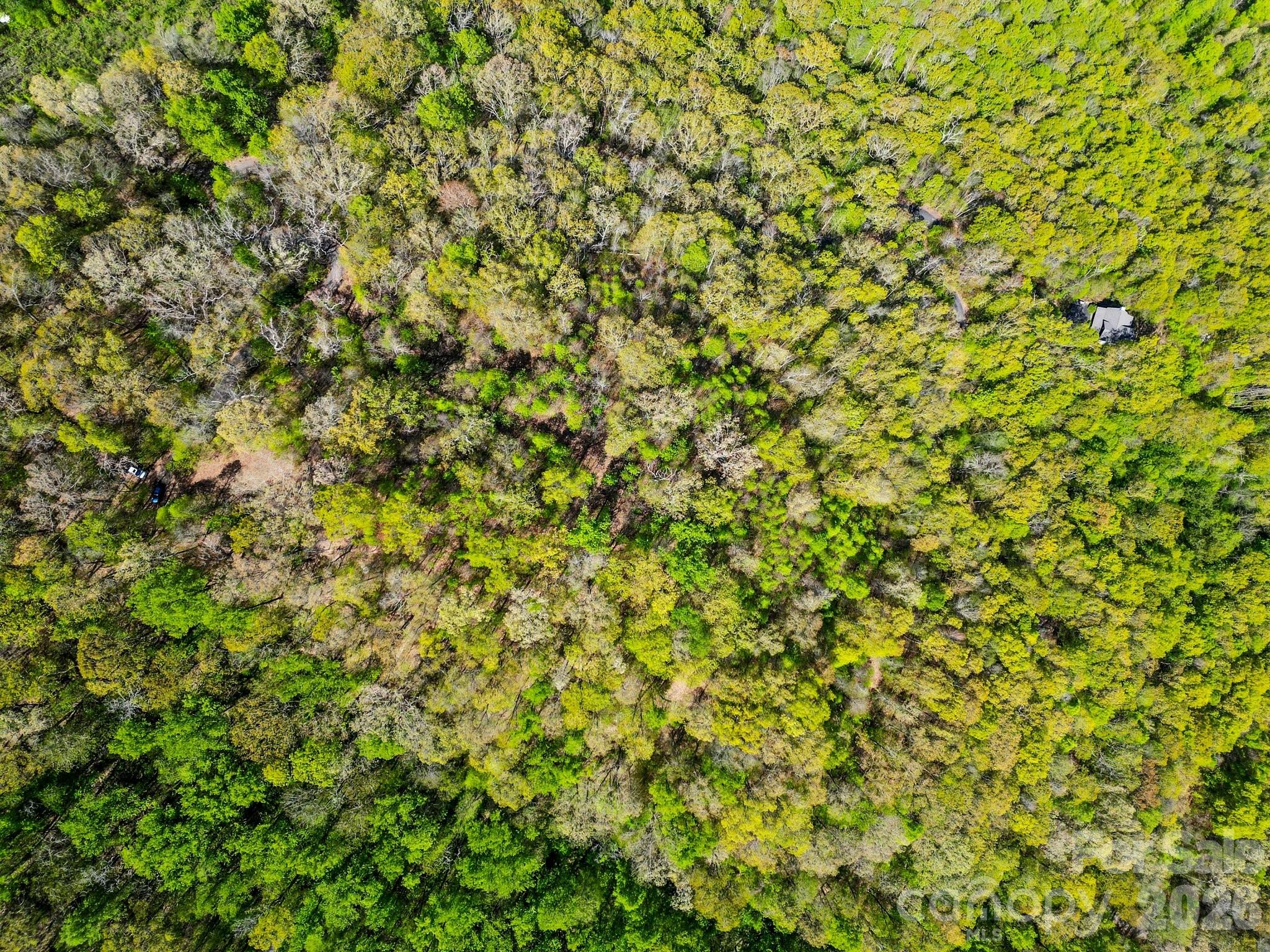Shook Cove Overlook - Land