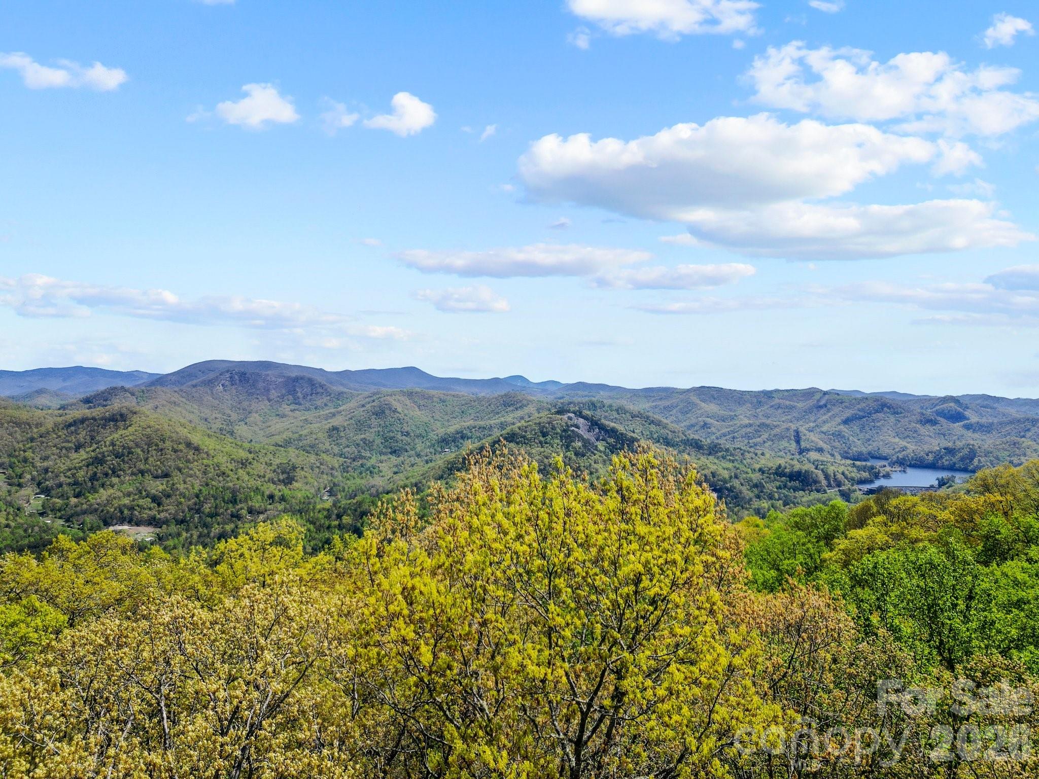 Shook Cove Overlook - Land