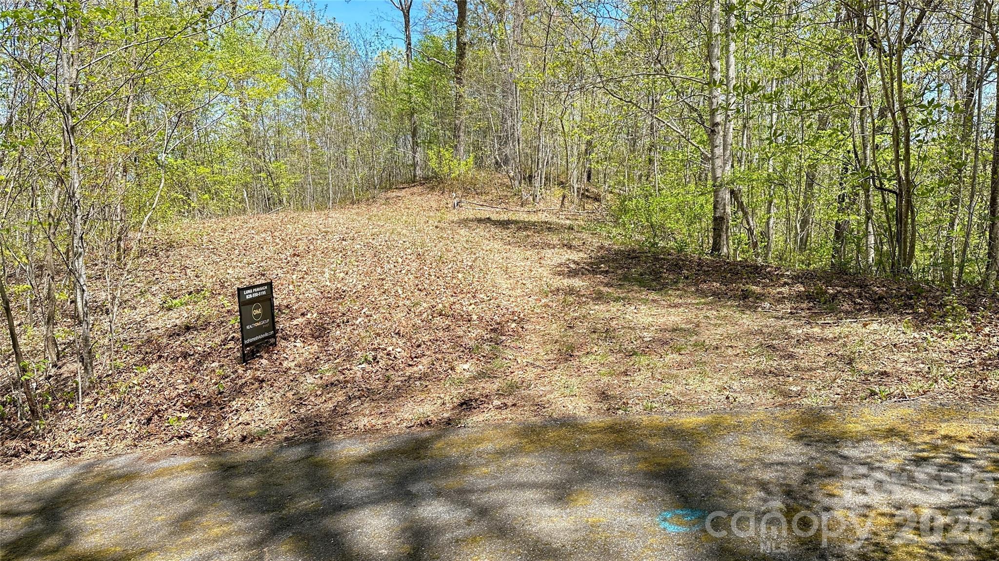 Shook Cove Overlook - Land