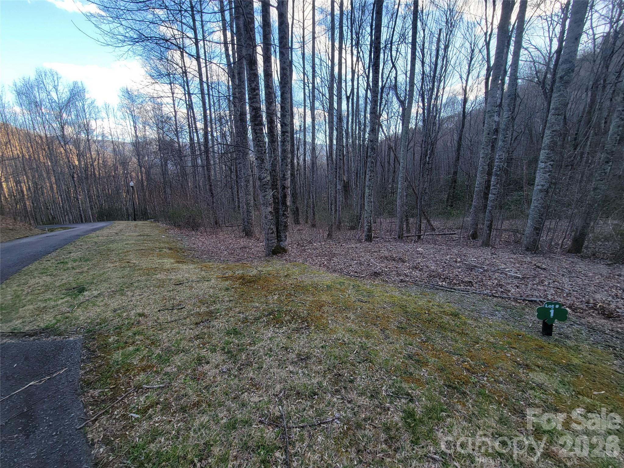 The Cove at Maggie Valley - Land