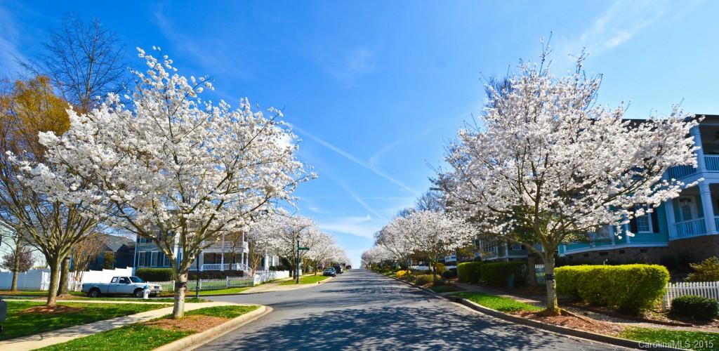 Baxter Village - Residential