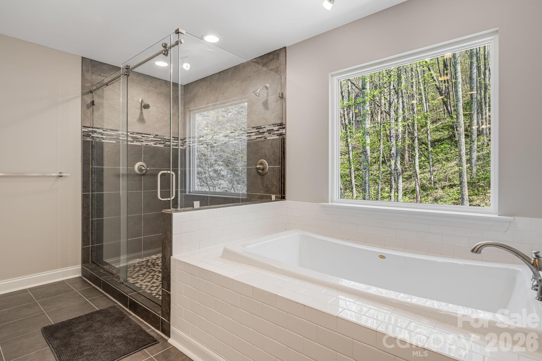 Chestnut Mountain - Residential