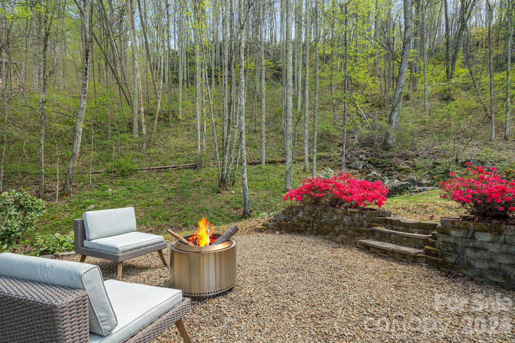 Chestnut Mountain - Residential